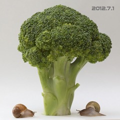 蜗牛