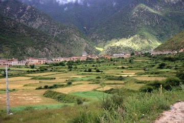 IMG_0016.jpg