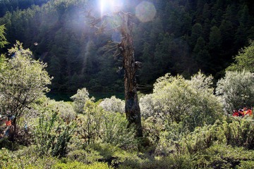 IMG_0174.jpg