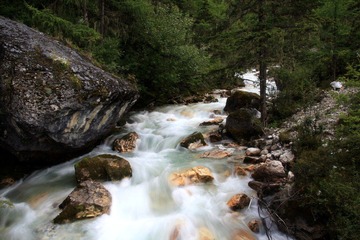 IMG_0200.jpg