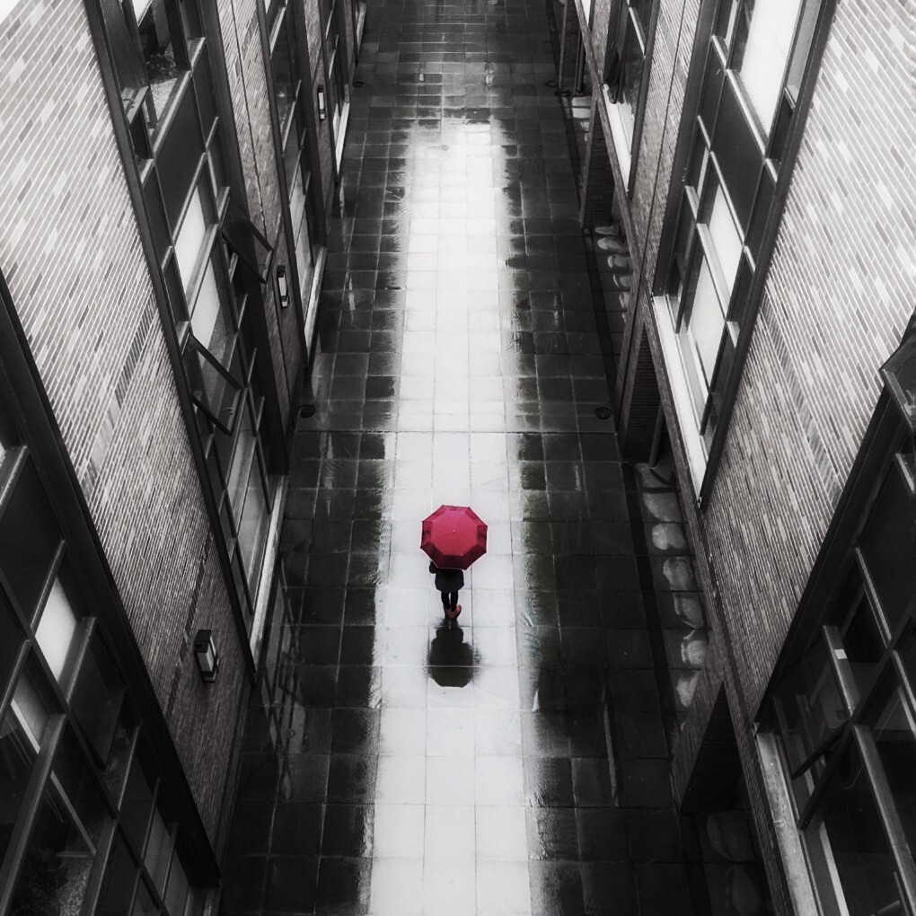 Nothing can stop me from going forward.<br />
LOFTER：<a href="http://snowyrin.lofter.com/" target="_blank" rel="nofollow">http://snowyrin.lofter.com/</a><br />
weibo：白纯凛Rin