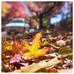 _DSC0152