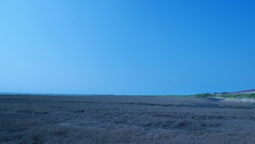 20150731173833