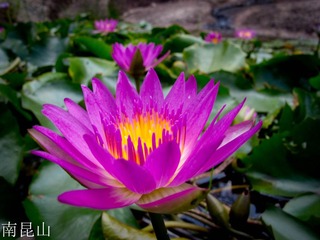 IMG_1855-16.jpg