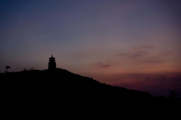 DSC02110.jpg