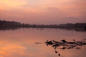 DSC02125.jpg