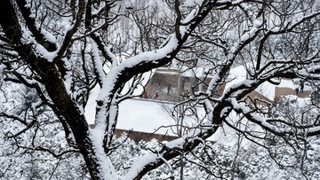《春雪》