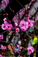 KYH_2048