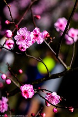 KYH_2049