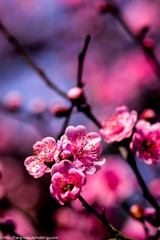 KYH_2056