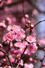 KYH_2058