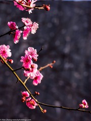 KYH_2077