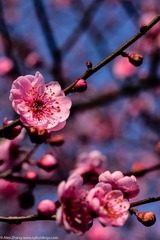 KYH_2082