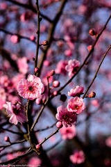 KYH_2083