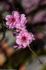 KYH_2086