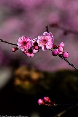 KYH_2097