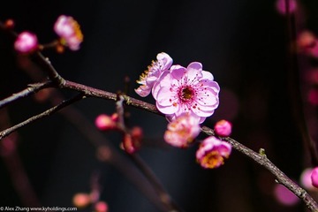 KYH_2046