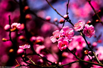 KYH_2057