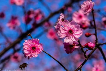KYH_2076