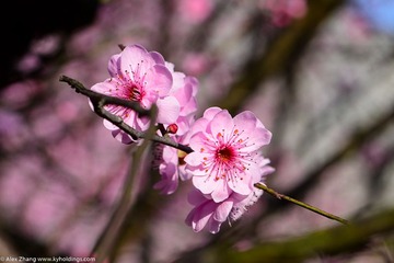 KYH_2084