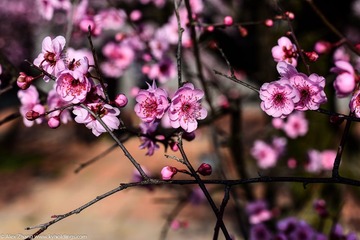KYH_2087