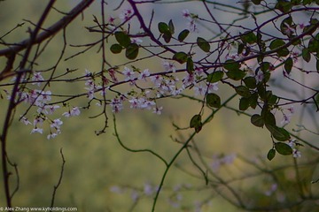 KYH_2204