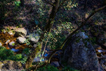 KYH_2198
