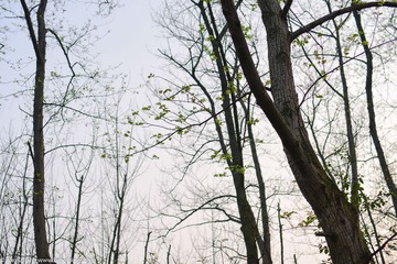 KYH_2265