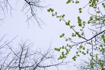 KYH_2275