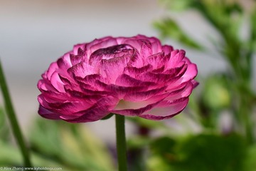 KYH_2341