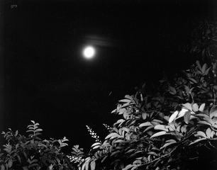 月夜