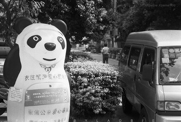 菲林记事 2016年8月