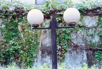 菲林记事 2016年8月