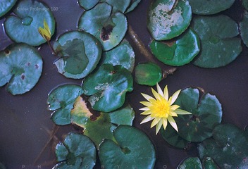 菲林记事 2016年9月
