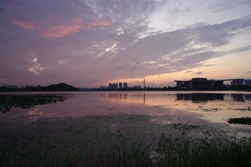 IMGP4146.JPG