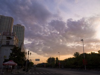 P1150166.jpg