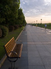 P1150168.jpg