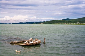 IMGP0075.jpg
