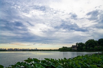 IMGP9913.jpg