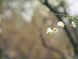 P1220234