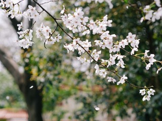 P1220536