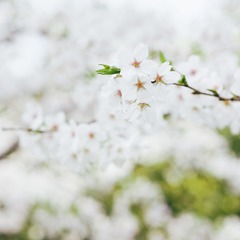 P1220534