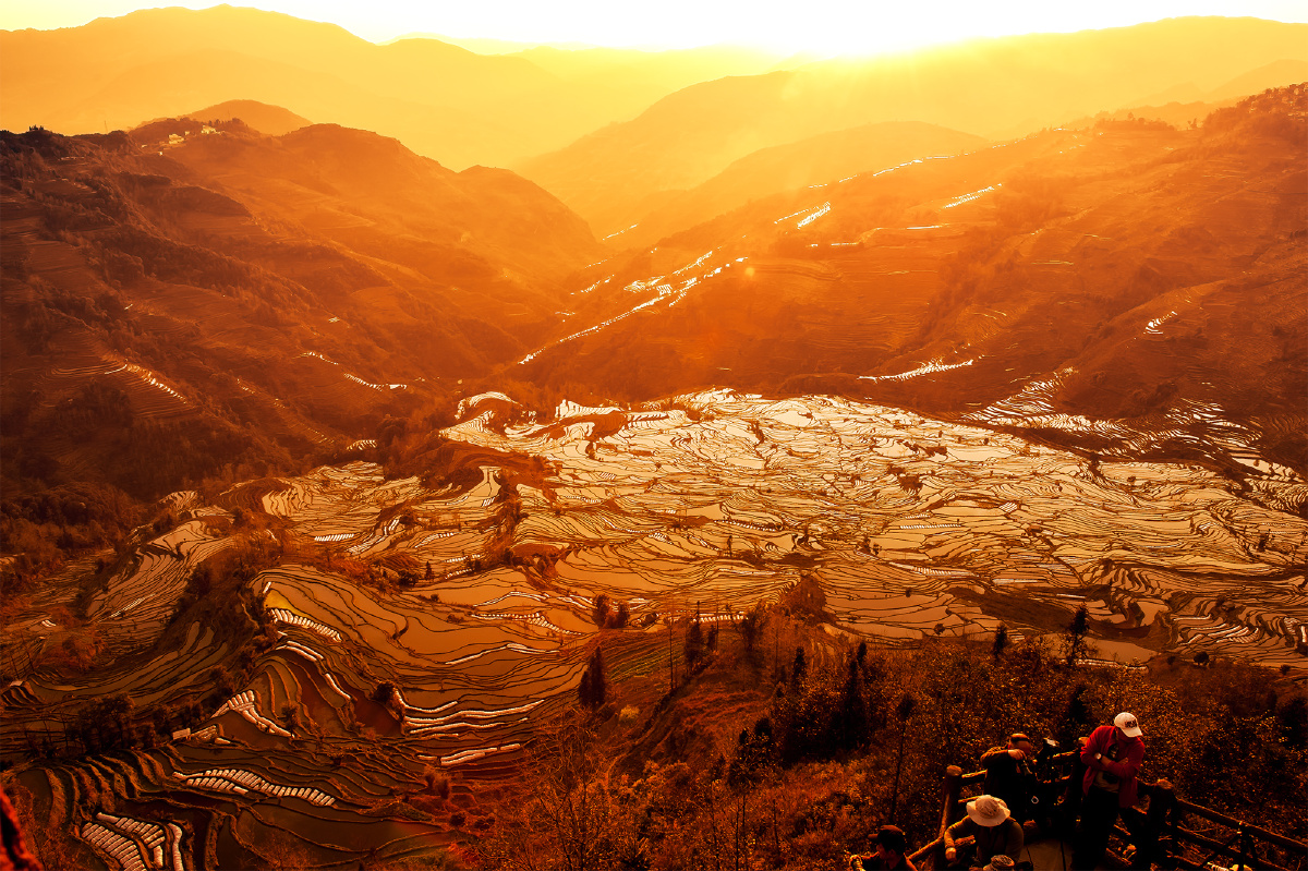 夕阳下的元阳梯田