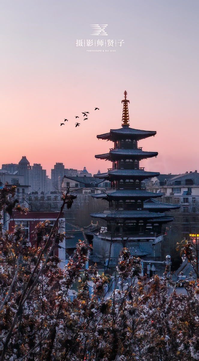 松山寺大连松山寺是一座始建于唐代的寺院,位于大连最繁华的西岗区