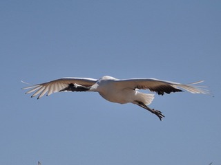 DSC_3053.jpg