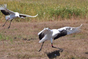 DSC_3131.JPG
