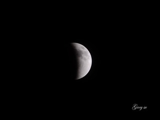 _DSC1782 copy.jpg