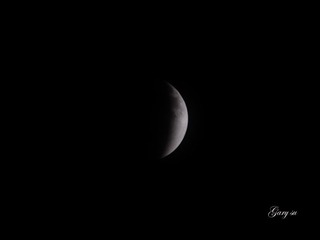 _DSC1802 copy.jpg