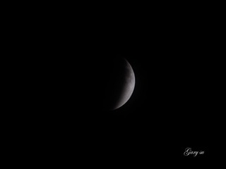 _DSC1809 copy.jpg