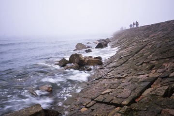 _DSC2726.jpg